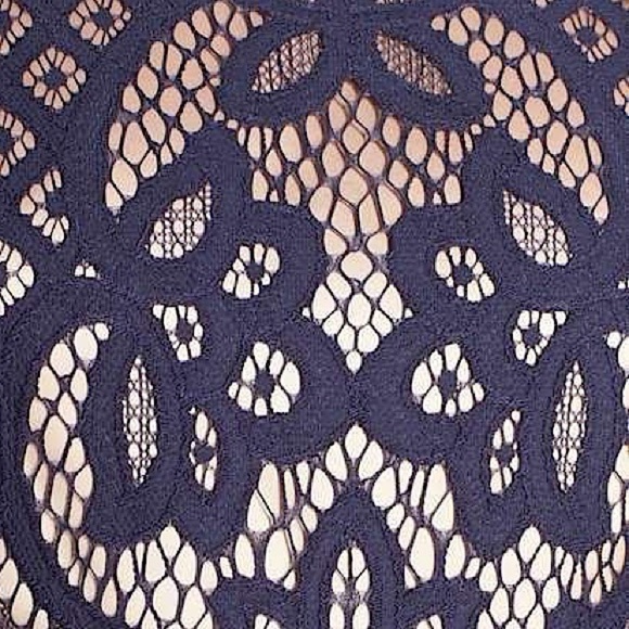 Eliza J Navy Blue Lace Over Nude Dress with Bell Sleeves, Size Medium (10) - Picture 3 of 15